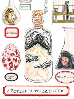 cover image of A Bottle of Storm Clouds